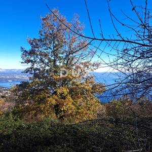OPATIJA, DOBREĆ - 3 starine s prostranom okućnicom i puno potencijala za uređenje, 4747m2