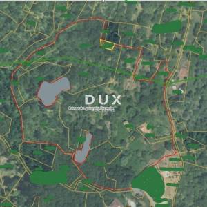 OPATIJA, DOBREĆ - 3 starine s prostranom okućnicom i puno potencijala za uređenje, 4747m2