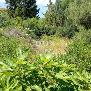 OTOK PAG, LUN - Građevinsko zemljište 622 m2