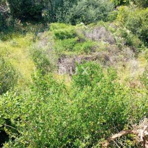 OTOK PAG, LUN - Građevinsko zemljište 622 m2