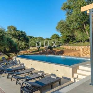 OTOK PAG, LUN  - Luksuzna villa s uhodanim poslom