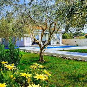 OTOK VIR - Prizemnica u blizini mora