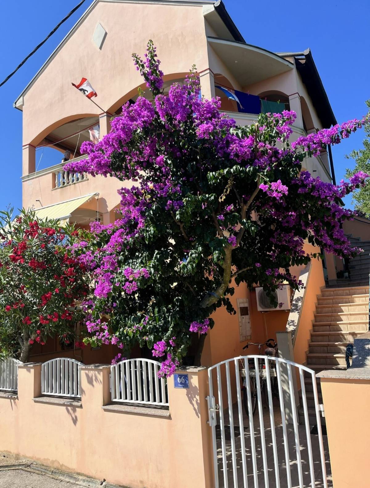 Pašman, Tkon, apartman