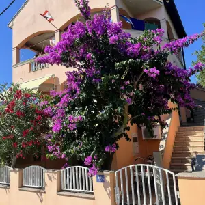 Pašman, Tkon, apartman