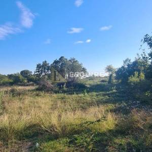 POLIČNIK Građevinsko zemljište 2.631m2