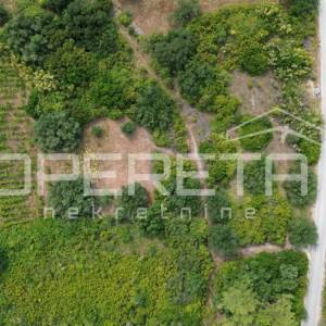 Poljoprivredno zemljište 342 m2 između Smokvice i Blata