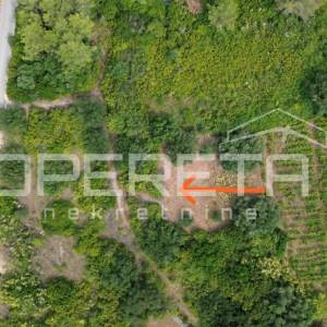 Poljoprivredno zemljište 342 m2 između Smokvice i Blata