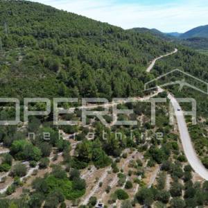 Poljoprivredno zemljište 2.784 m2 u Blatu, Korčula