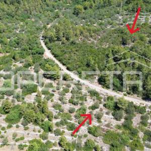 Poljoprivredno zemljište 2.784 m2 u Blatu, Korčula