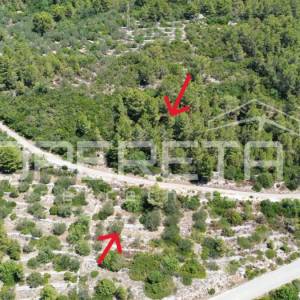 Poljoprivredno zemljište 2.784 m2 u Blatu, Korčula