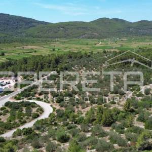Poljoprivredno zemljište 2.784 m2 u Blatu, Korčula