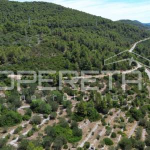 Poljoprivredno zemljište 2.784 m2 u Blatu, Korčula