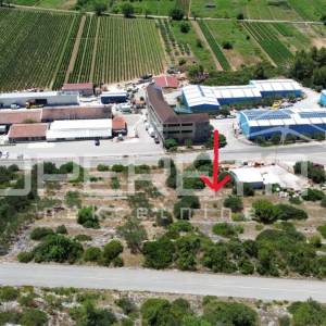 Poljoprivredno zemljište 2.173 m2, Blato, Otok Korčula