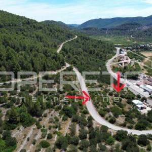 Poljoprivredno zemljište 2.173 m2, Blato, Otok Korčula