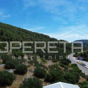 Poljoprivredno zemljište 2.173 m2, Blato, Otok Korčula
