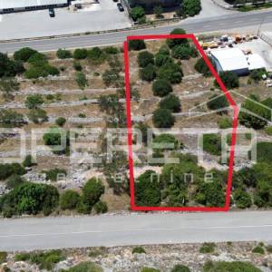 Poljoprivredno zemljište 2.173 m2, Blato, Otok Korčula