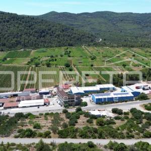 Poljoprivredno zemljište 2.173 m2, Blato, Otok Korčula