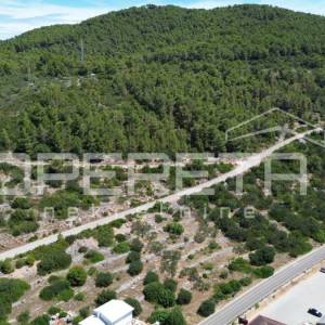 Poljoprivredno zemljište 2.173 m2, Blato, Otok Korčula