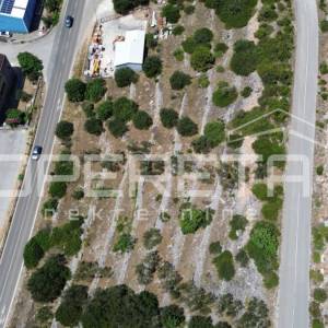 Poljoprivredno zemljište 2.173 m2, Blato, Otok Korčula