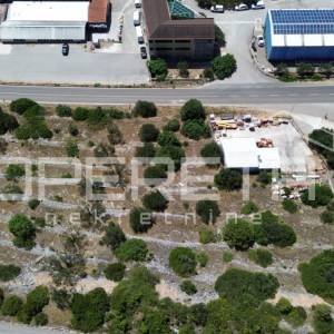 Poljoprivredno zemljište 2.173 m2, Blato, Otok Korčula