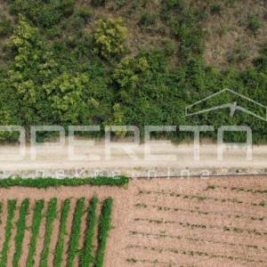 Poljoprivredno zemljište 662 m2, Blato, otok Korčula