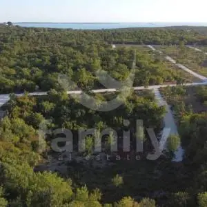 POLJOPRIVREDNO ZEMLJIŠTE NA ODLIČNOJ LOKACIJI