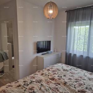 Poreč okolica – Vila s bazenom