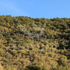 POVOLJNO POLJOPRIVREDNO ZEMLJIŠTE UZ RIJEKU