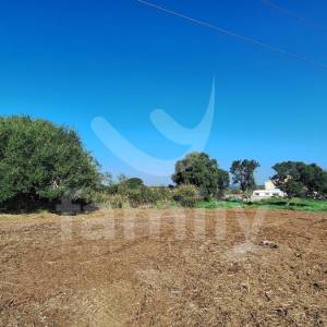 PRILIKA - EKSKLUZIVNO GRAĐEVINSKO ZEMLJIŠTE NA ODLIČNOJ LOKACIJI