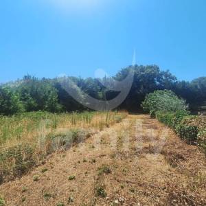 PRODAJA ATRAKTIVNO PROSTRANO GRAĐEVINSKO ZEMLJIŠTE VODNJAN