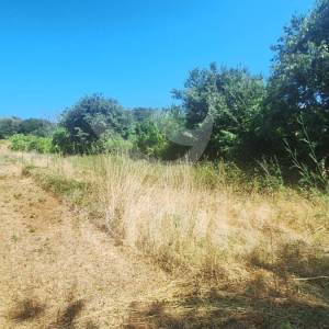 PRODAJA ATRAKTIVNO PROSTRANO GRAĐEVINSKO ZEMLJIŠTE VODNJAN