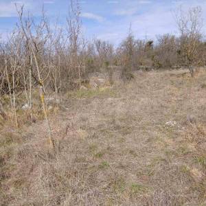 PRODAJA GRAĐEVINSKOG ZEMLJIŠTA,  6.230 m²– PLOVANIJA (BUJE)