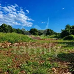 PRODAJA GRAĐEVINSKOG ZEMLJIŠTA U MEDULINU