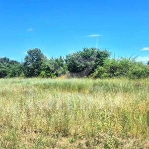 PRODAJA GRAĐEVINSKOG ZEMLJIŠTA NA MIRNOJ LOKACIJI