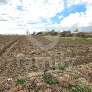 PRODAJA GRAĐEVINSKOG ZEMLJIŠTA NA VEOMA MIRNOJ LOKACIJI