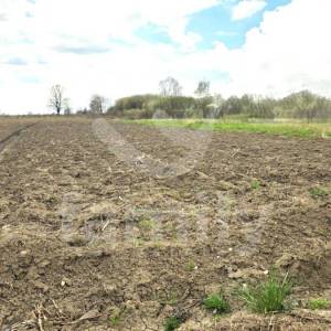 PRODAJA GRAĐEVINSKOG ZEMLJIŠTA NA VEOMA MIRNOJ LOKACIJI