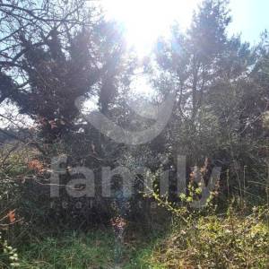PRODAJA GRAĐEVINSKOG ZEMLJIŠTA NA ATRAKTIVNOJ  LOKACIJI