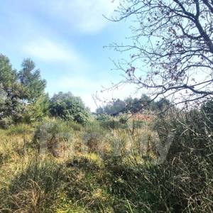 PRODAJA GRAĐEVINSKOG ZEMLJIŠTA NA ATRAKTIVNOJ  LOKACIJI