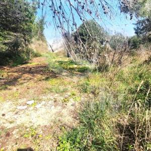 PRODAJA GRAĐEVINSKOG ZEMLJIŠTA NA ATRAKTIVNOJ  LOKACIJI