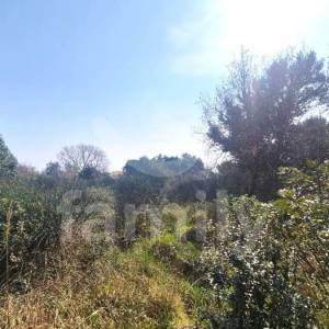 PRODAJA GRAĐEVINSKOG ZEMLJIŠTA NA ATRAKTIVNOJ  LOKACIJI