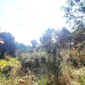 PRODAJA GRAĐEVINSKOG ZEMLJIŠTA NA ATRAKTIVNOJ  LOKACIJI