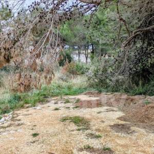 PRODAJA GRAĐEVINSKOG ZEMLJIŠTA NA ATRAKTIVNOJ  LOKACIJI