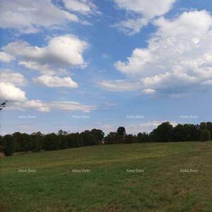 Prodaja građevinskog zemljišta, Loborika