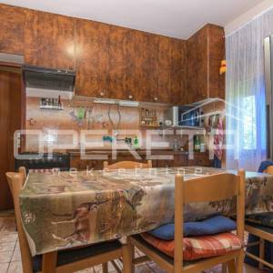 PRODAJA, KUĆA, Sv. I. ZELINA, LAKTEC, samostojeća kuća, 220 m2 u mirnom naselju