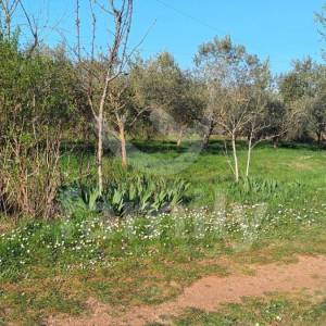 PRODAJA KUĆE U MARČANI – PROSTOR, POTENCIJAL I MIR NA JEDNOJ LOKACIJI
