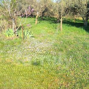 PRODAJA KUĆE U MARČANI – PROSTOR, POTENCIJAL I MIR NA JEDNOJ LOKACIJI