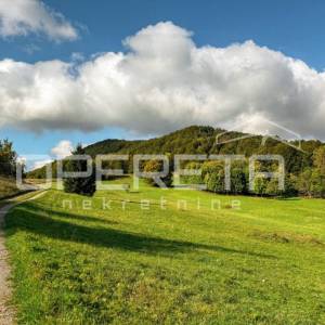 PRODAJA, POLJOPRIVREDNO ZEMLJIŠTE, GORSKI KOTAR, MRKOPALJ, 2.236 m2