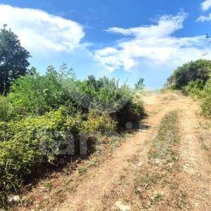 PRODAJA POLJOPRIVREDNOG ZEMLJIŠTA NEDALEKO OD NASELJA