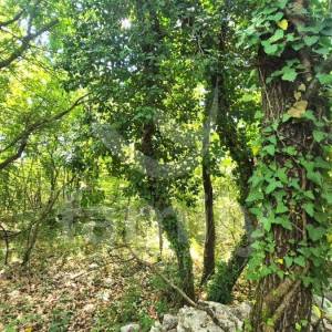 PRODAJA POLJOPRIVREDNOG ZEMLJIŠTA BLIZU URBANIZIRANOG DIJELA