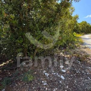 PRODAJA ZEMLJIŠTE ŠUMA DUGA UVALA